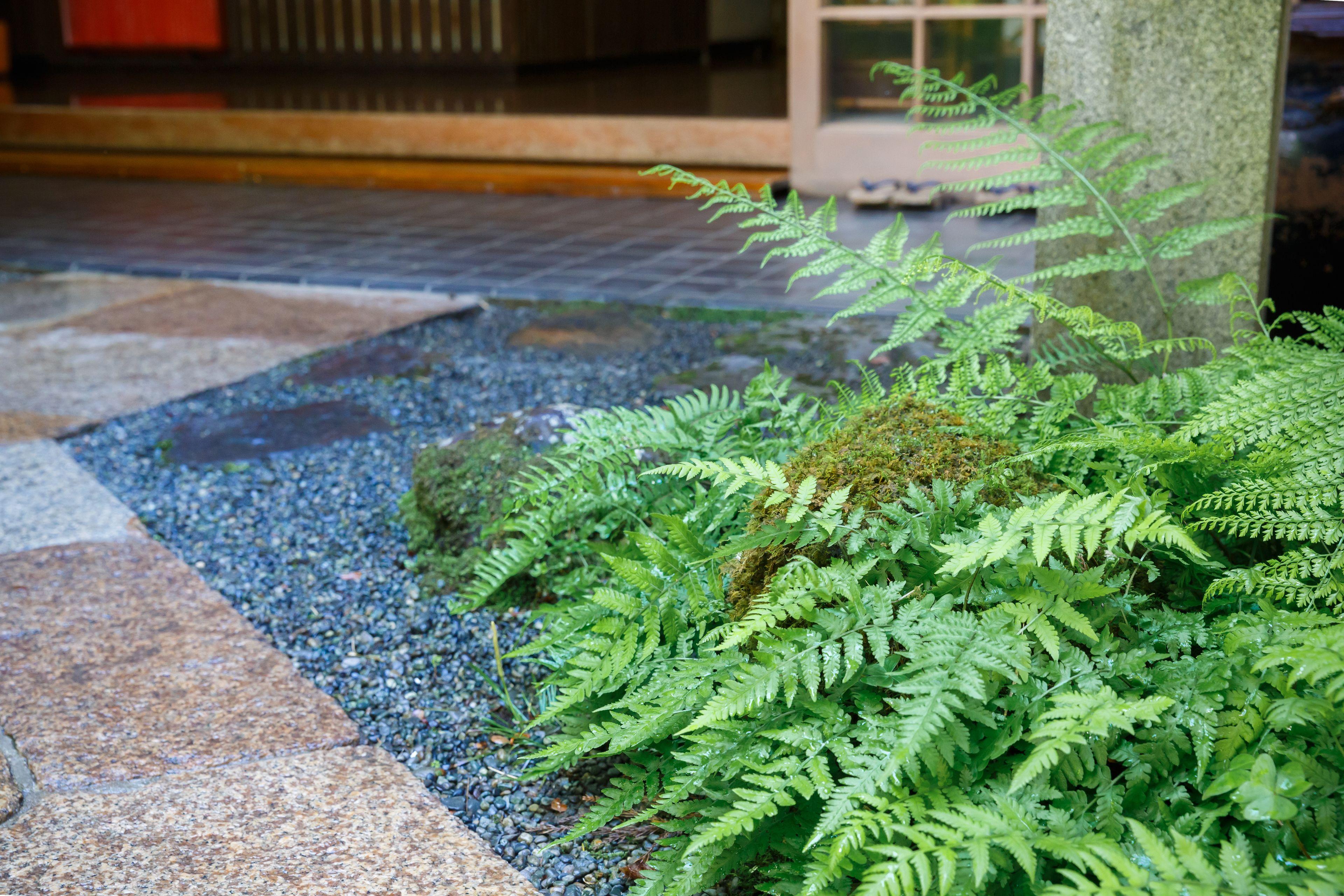 Kibune Hiroya - Kyoto — Photos 2
