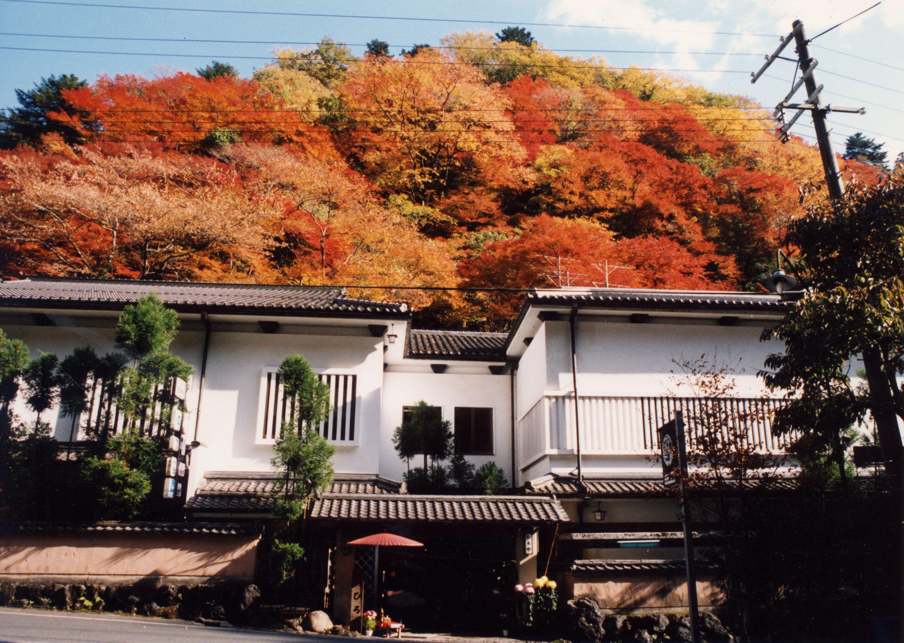 Kibune Hiroya - Kyoto, Kyoto